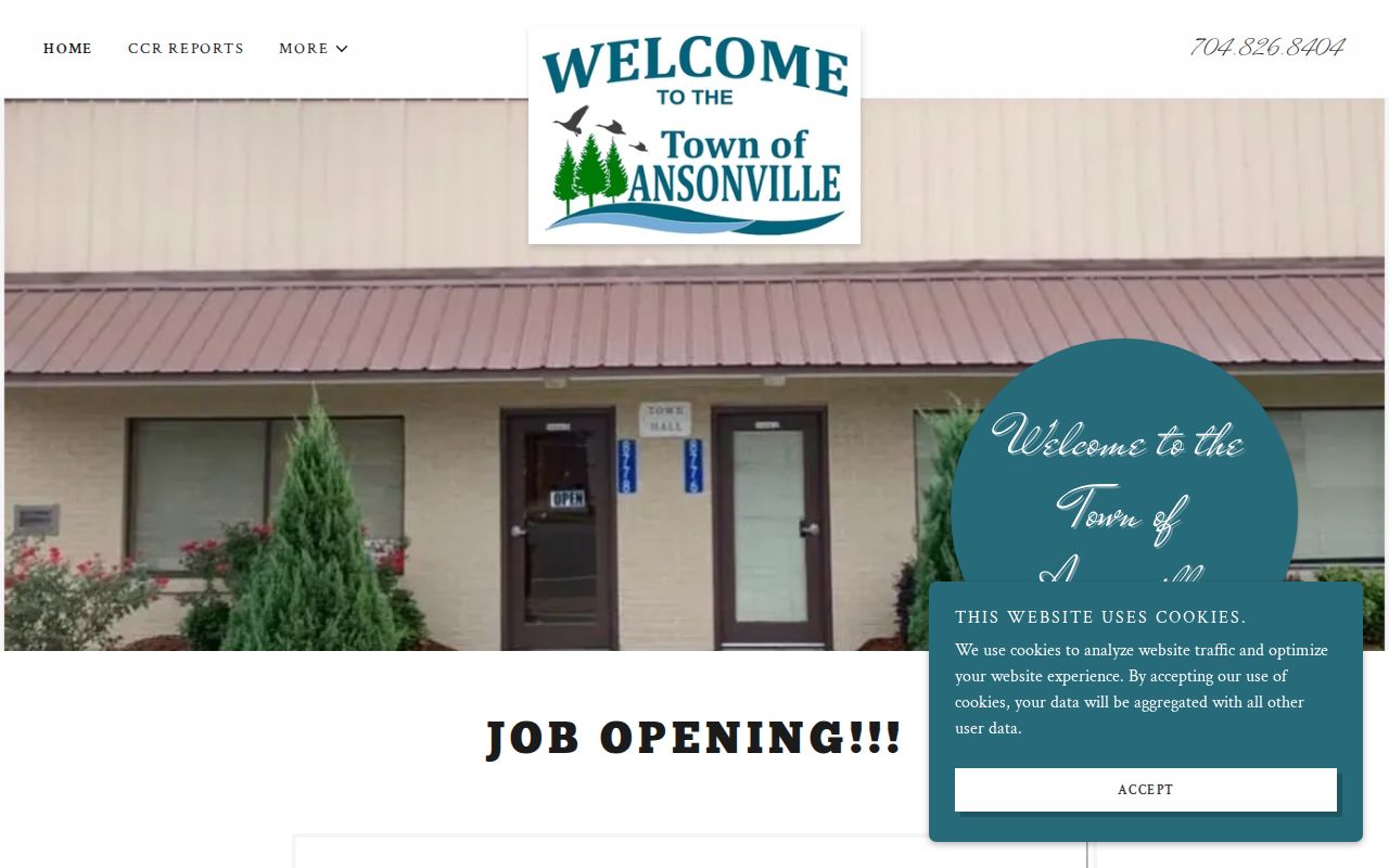 Official Ansonville town site for local criminal record context